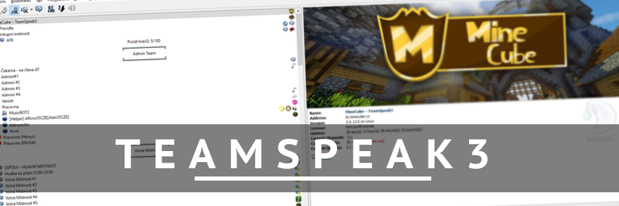 team-speak